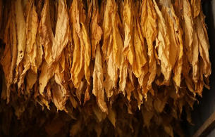 “十四五”期间烟草行业做好经济运行工作述评